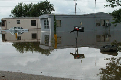 On July 9, 2003, most of the mobile homes in a low lying area along North Street in Rockford were up to their front doors in water. Floodwater also surrounded the northeast side of the village when the St. Marys River overflowed its banks during the holiday weekend.<br>dailystandard.com