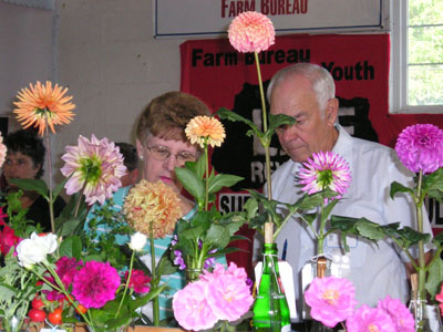 Horticulture judges Bill and Anita Lanning have judged flowers and plants at the Auglaize County Fair for the past four years. Both are master gardeners and cultivate thousands of flowers at their home in Findlay. This year, however, they cut back and only planted 5,000 gladiola bulbs rather than the 25,000 they usually plant.<br>dailystandard.com