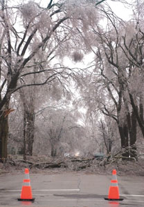 Ice covered trees make a pretty canopy to the limbs that fell and blocked Ash Street, from Johnson to Wayne streets this morning in Celina. Traffic has been rerouted in many areas due to broken limbs.<br>dailystandard.com