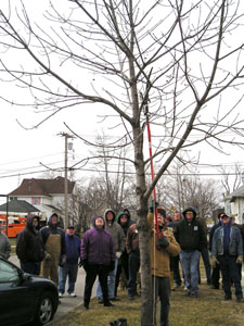 Urban forester Stephanie Miller, foreground, of the Ohio Division of Forestry, demonstrates pruning techniques to a volunteer group in St. Marys as part of a pruning corps training session.<br>dailystandard.com