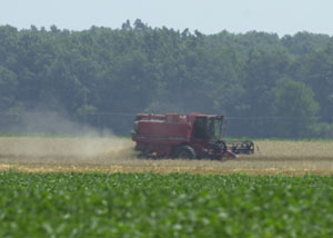 A local farmer harvests wheat west of the city of Celina last week, creating dust in the dry field.<br>dailystandard.com