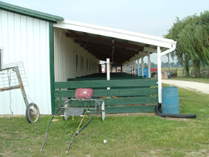 This lean-to was one of the first projects undertaken in renovating the harness racing area at the fairgrounds. Twelve stalls were added with the lean-to.<br>dailystandard.com