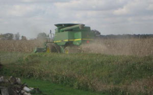 A farmer harvests corn recently along state Route 118 on Thursday. Reports are that corn and soybean yields are average this year, which is better than most farmers expected.<br></br>dailystandard.com