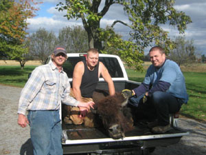 Kevin Jackson, left, and Chad Brosher, both of Celina, and Dave Thomas, St. Marys, pose with an escaped buffalo that Jackson and Thomas shot early Friday morning in a woods near Jackson's Howick Road home east of town. Not pictured is Brian Donovan, Celina, who helped guide the men to the animal.<br></br>dailystandard.com