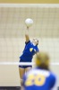 thum pict
