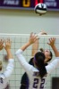 thum pict