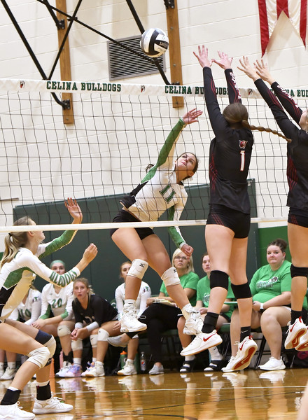 Celina vs Kenton volleyball Photo Album | The Daily Standard