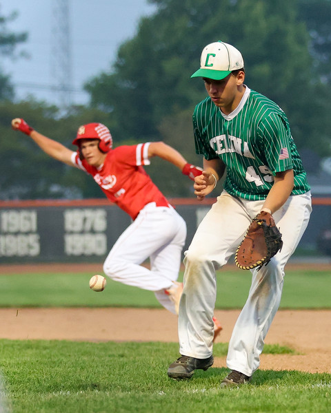 St. Henry vs Celina ACME baseball Photo Album | The Daily Standard