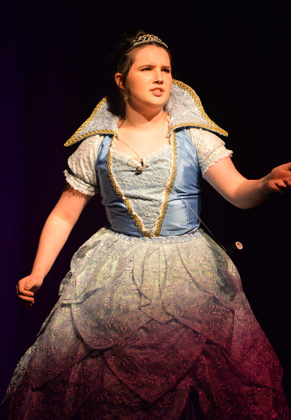 Celina High School presents Cinderella Photo Album | The Daily Standard