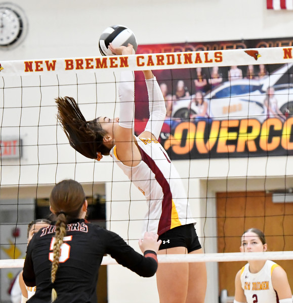 New Bremen vs Jackson Center volleyball Photo Album The Daily Standard