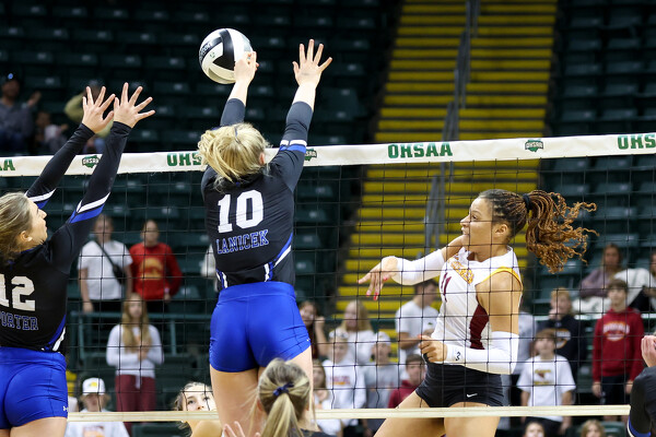 New Bremen vs Tiffin Calvert volleyball Photo Album | The Daily Standard