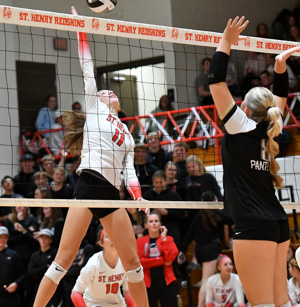 St. Henry vs Parkway volleyball Photo Album | The Daily Standard