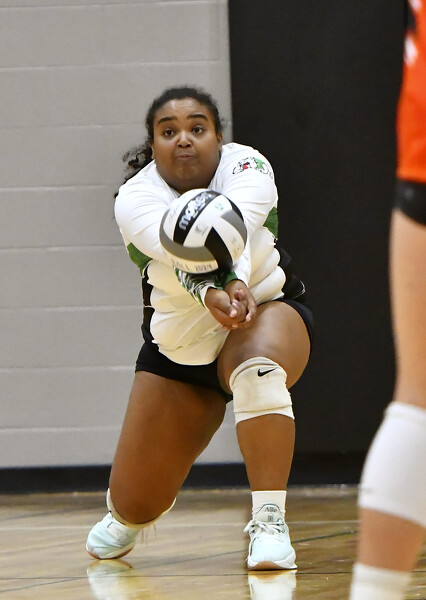 Coldwater vs Celina volleyball Photo Album | The Daily Standard