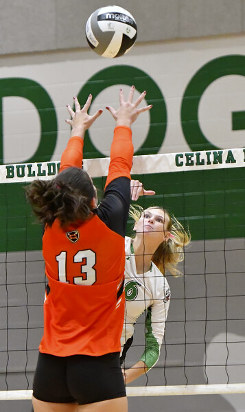 Coldwater vs Celina volleyball Photo Album | The Daily Standard