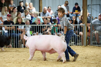 thum pict