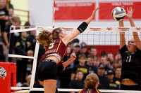 thum pict