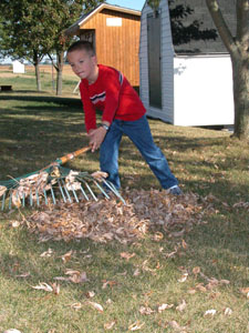 Adam Dysert, 8, of Coldwater, does a few chores at his home to pass the time as he eagerly awaits his departure this weekend to Disney World in Florida. Dysert, who was born with congenital heart disease, was granted the trip through the Make-A-Wish Foundation.<br>dailystandard.com