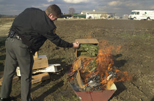 Lt. Bill Westgerdes of the Mercer County Sheriff's Office dumps another box of marijuana into a bonfire Thursday afternoon at Dues Nursery near Celina. The contraband, seized during aerial searches from 1999 to 2004, was valued at between $675,000 to $900,000.<br>dailystandard.com