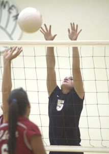 Celina's Allison Knapke, 5, jumps at the net in an attempt at a block during Tuesday's matchup against Bellefontaine. Celina beat Bellefontaine in three straight games.<br>dailystandard.com