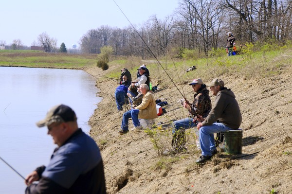 Rainbow Trout Return  The Daily Standard Stories