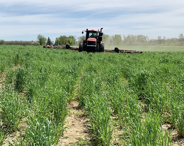 New effort aims to help Midwest farmers plant cover crops on a half a  million acres