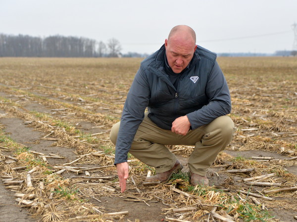 New effort aims to help Midwest farmers plant cover crops on a half a  million acres