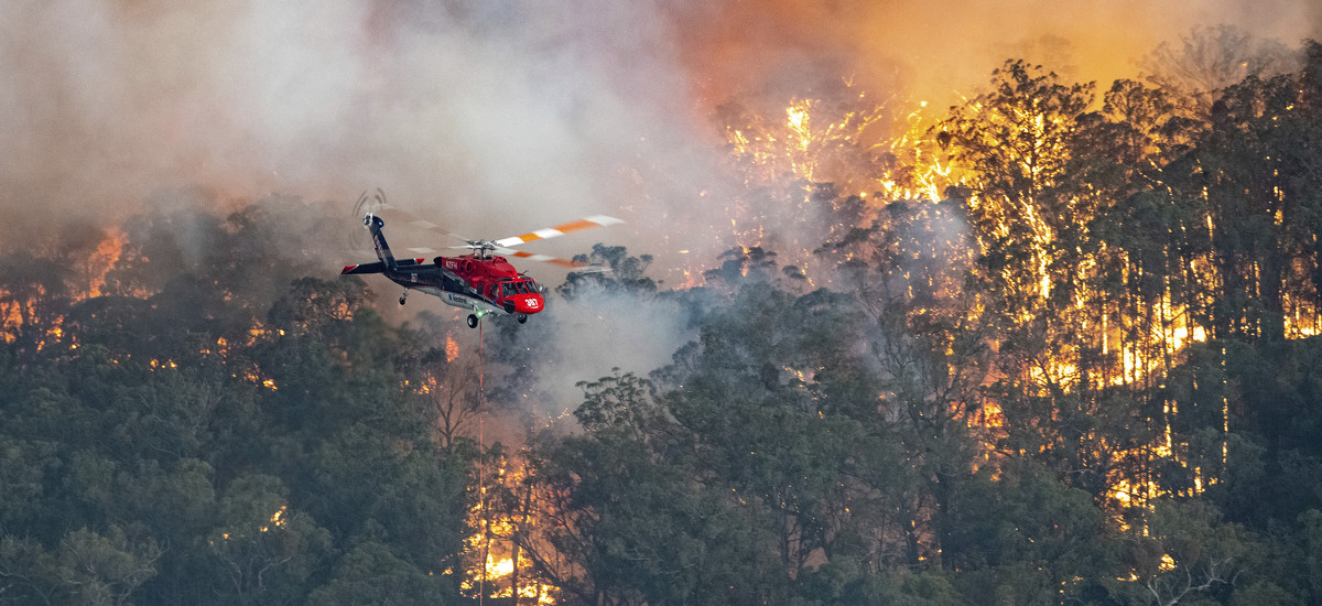 Image result for AUSTRALIA FOREST FIRE